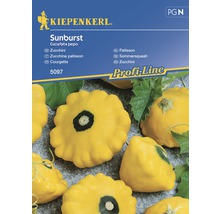 Semințe de legume Kiepenkerl, dovlecel galben Sunburst-thumb-0