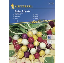 Semințe de legume Kiepenkerl, mix ridichi de Paște-thumb-0