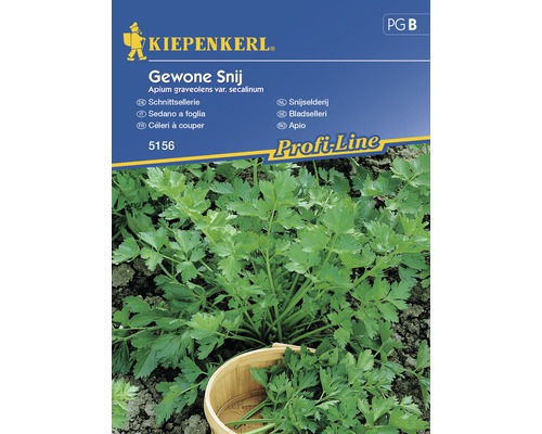 Semințe de țelină Apio Kiepenkerl-0