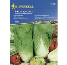 Semințe de salată de cicoare Pan Di Zucchero Kiepenkerl-thumb-0
