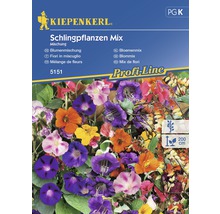 Semințe de flori de grădină cățărătoare Kiepenkerl-thumb-0