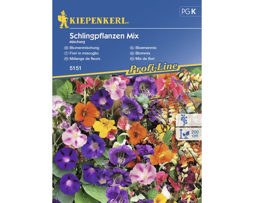 Semințe de flori de grădină cățărătoare Kiepenkerl