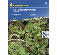 Semințe de salată americană de grădină Kiepenkerl-thumb-0