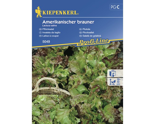 Semințe de salată americană de grădină Kiepenkerl-0