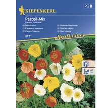 Semințe de flori Kiepenkerl mix pastelat maci-thumb-0
