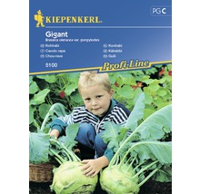 Semințe de legume Kiepenkerl, gulie gigant-thumb-0