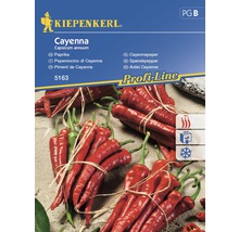Semințe de legume Kiepenkerl, ardei iute Cayenne-thumb-0