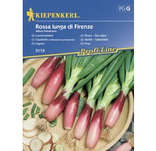 Semințe de legume Kiepenkerl, ceapă eșalota Rossa lunga di Firenze roșie-thumb-0