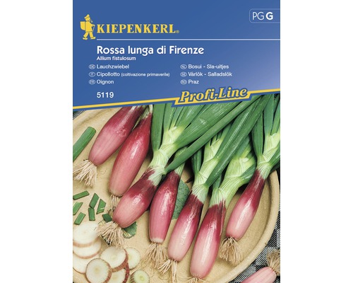 Semințe de legume Kiepenkerl, ceapă eșalota Rossa lunga di Firenze roșie-0