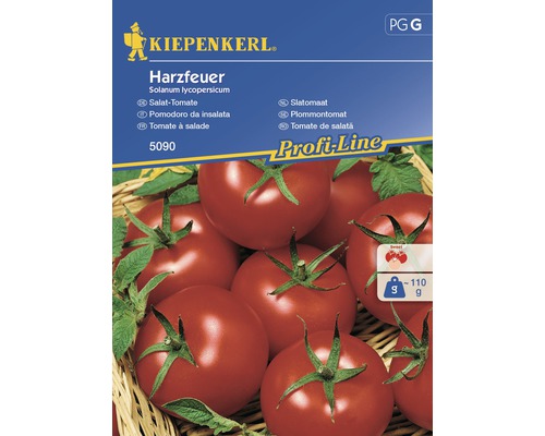 Semințe de legume Kiepenkerl, roșii pentru salată Harzfeur