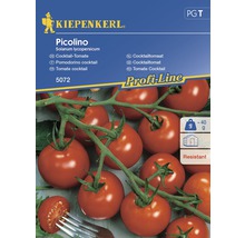 Semințe de legume Kiepenkerl, roșii Cocktail Picolino-thumb-0