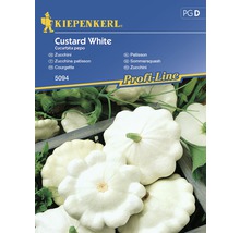 Semințe de legume Kiepenkerl, dovlecel alb Custard-thumb-0