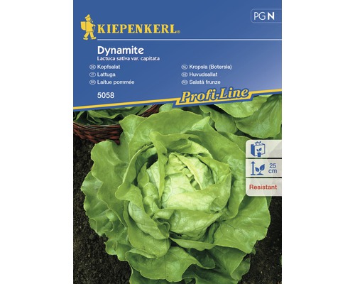 Semințe de salată frunze Dynamite Kiepenkerl