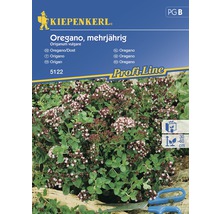 Semințe de plante aromatice Kiepenkerl, oregano-thumb-0