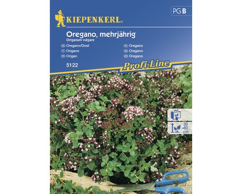 Semințe de plante aromatice Kiepenkerl, oregano-0