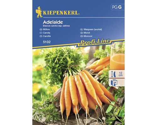 Semințe de legume Kiepenkerl, morcovi Adelaide-0