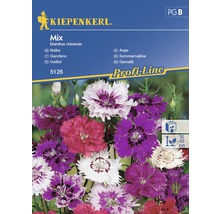 Semințe de flori Kiepenkerl mix Garofițe-thumb-0