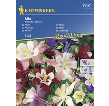 Semințe de flori Kiepenkerl mix Căldărușe-thumb-0