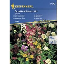 Semințe mix flori de umbră Kiepenkerl-thumb-0