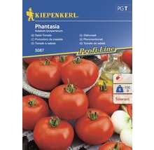 Semințe de legume Kiepenkerl, roșii pentru salată Phantasia F1-thumb-0