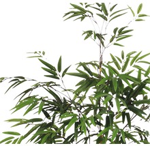 Plantă artificială, bambus, înălțime 120 cm, verde-thumb-3