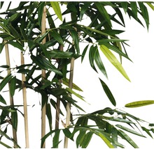 Plantă artificială, bambus, înălțime 150 cm, verde-thumb-1