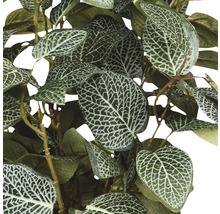 Plantă artificială în ghiveci, Fittonia, H35 x D25, verde-thumb-1