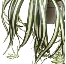 Plantă artificială, Chlorophytum, verde-thumb-1
