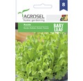 Seminte de salata Agrosel, rucola Baby Leaf PG8