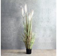 Planta artificială, Stipa, 81 cm, albă-thumb-4