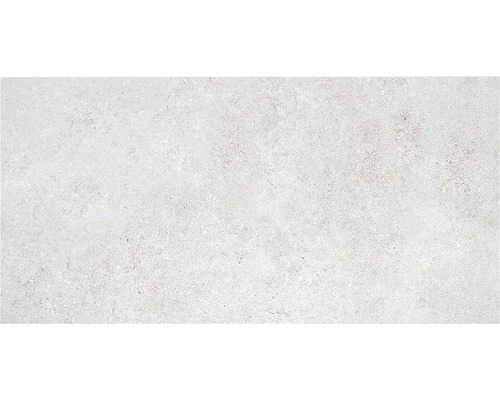 Gresie exterior / interior porțelanată glazurată Tanum gri deschis 60x30 cm