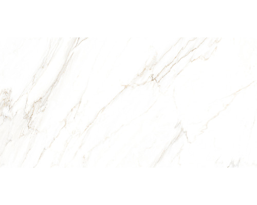 Gresie interior porțelanată glazurată Carved Carrara rectificată 60x120 cm