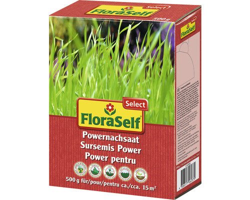 Semințe de gazon reînsămânțare FloraSelf Select 0,5 kg / 15 m²