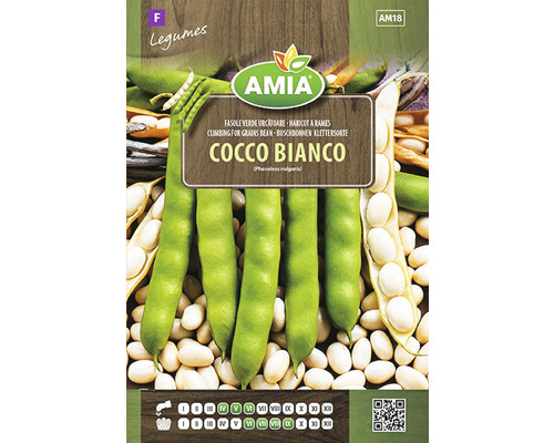 Semințe de fasole Coco Bianco
