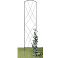 Spalier ornamental 'Ilian' 30x 150 cm