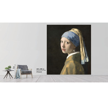 Fototapet vlies Special Decoration Vermeer Fata cu cercel de perlă 243x280 cm-thumb-1