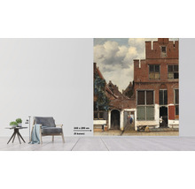 Fototapet vlies Special Decoration Vermeer Străduța 243x280 cm-thumb-2