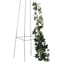 Obelisc pentru plante cățărătoare Levin, metal, 23x23x150 cm, negru-thumb-1