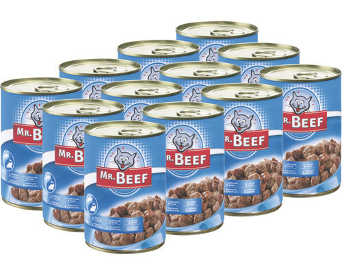 Hrană umedă pentru pisici Mr. Beef cu somon și păstrăv 1 pachet 12x400 g
