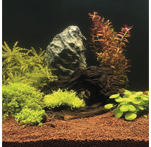 Substrat pentru acvariu, JBL Manado 25 l-thumb-4