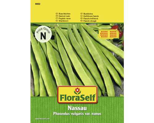 FloraSelf semințe de fasole oloagă Nassau