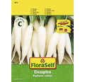 FloraSelf semințe de ridichi albe