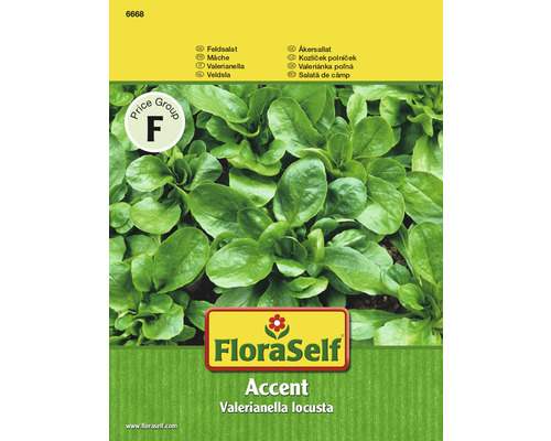 FloraSelf semințe de salată Accent