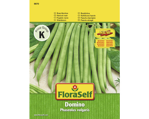 FloraSelf semințe de fasole oloagă Domino