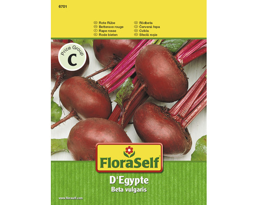 FloraSelf semințe de sfeclă roșie de Egipt
