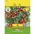 FloraSelf semințe de roșii Vilma F1
