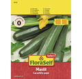 FloraSelf semințe de dovlecel Mastil F1