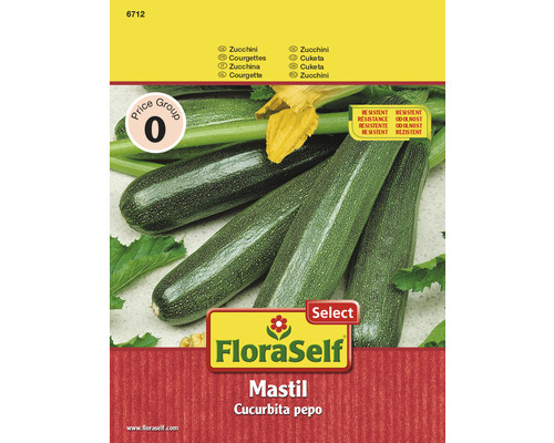 FloraSelf semințe de dovlecel Mastil F1