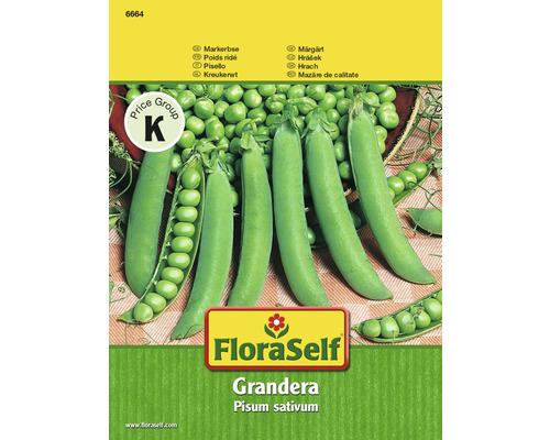 FloraSelf semințe de mazăre Grandera