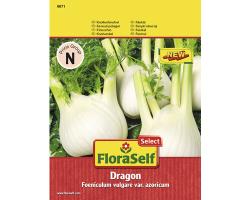 FloraSelf semințe de fenicul Dragon F1
